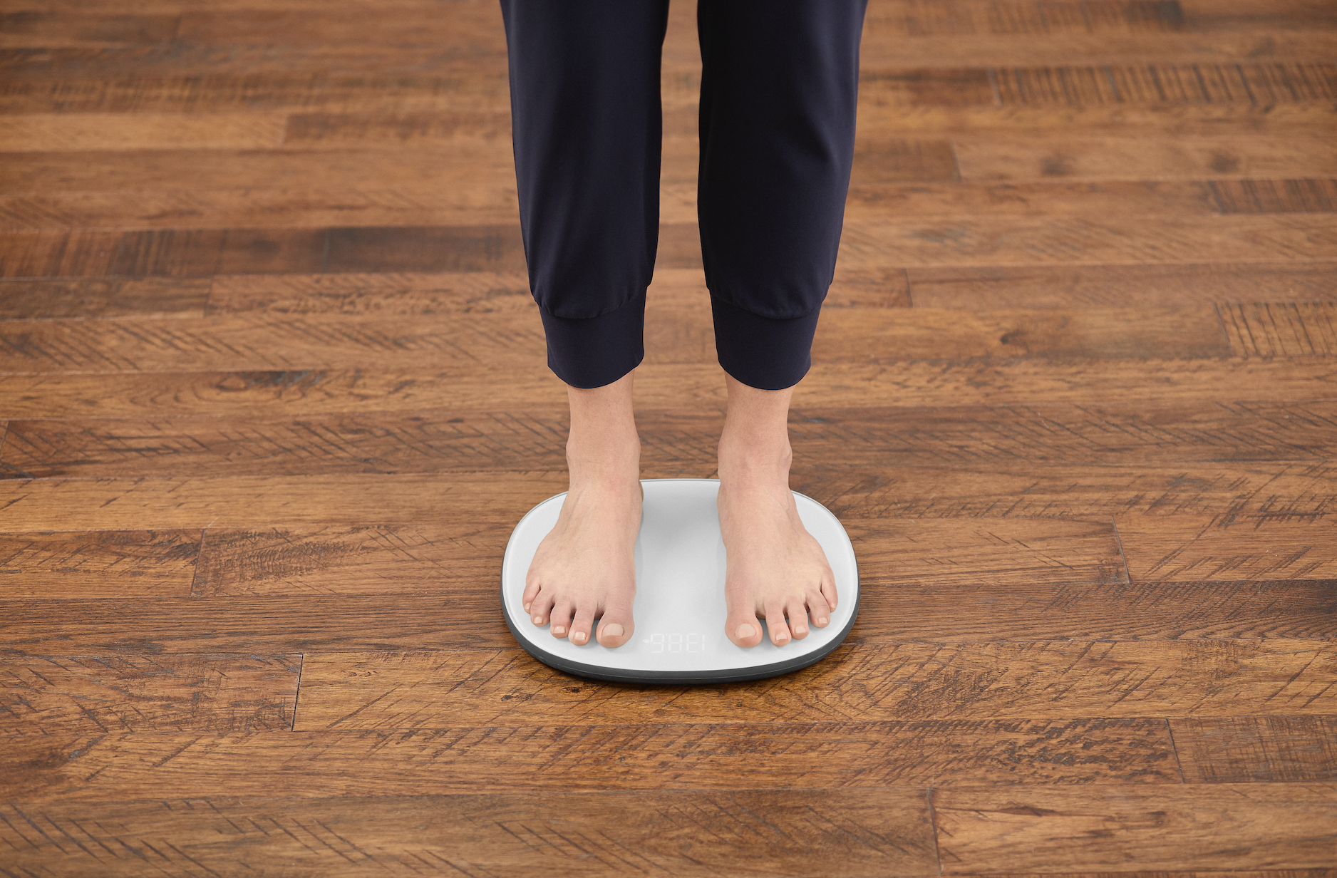 Scale